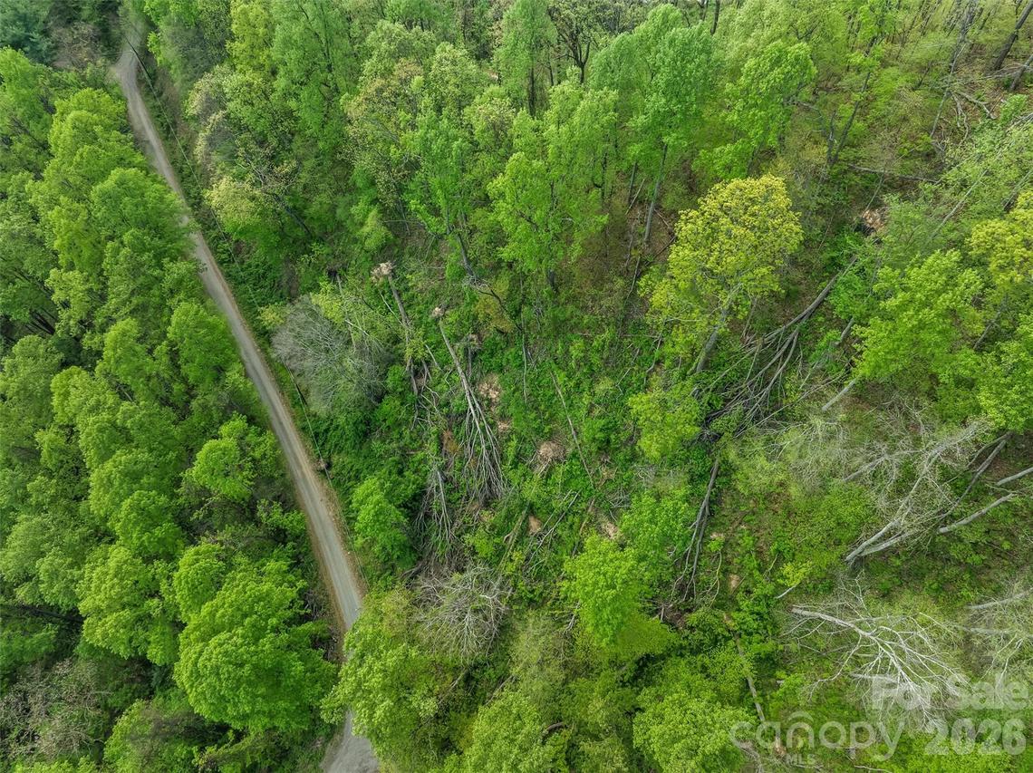 TBD Jacks Knob Rd. #49, Barnardsville, NC 28709
