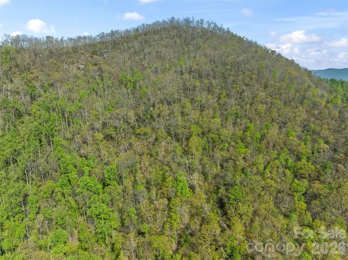 21 Reillys Bluff Rd. #1, Barnardsville, NC 28709