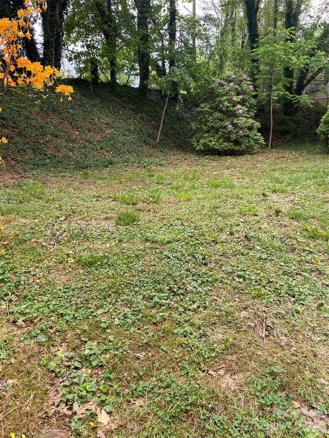 TBD Lilac St., Asheville, NC 28806