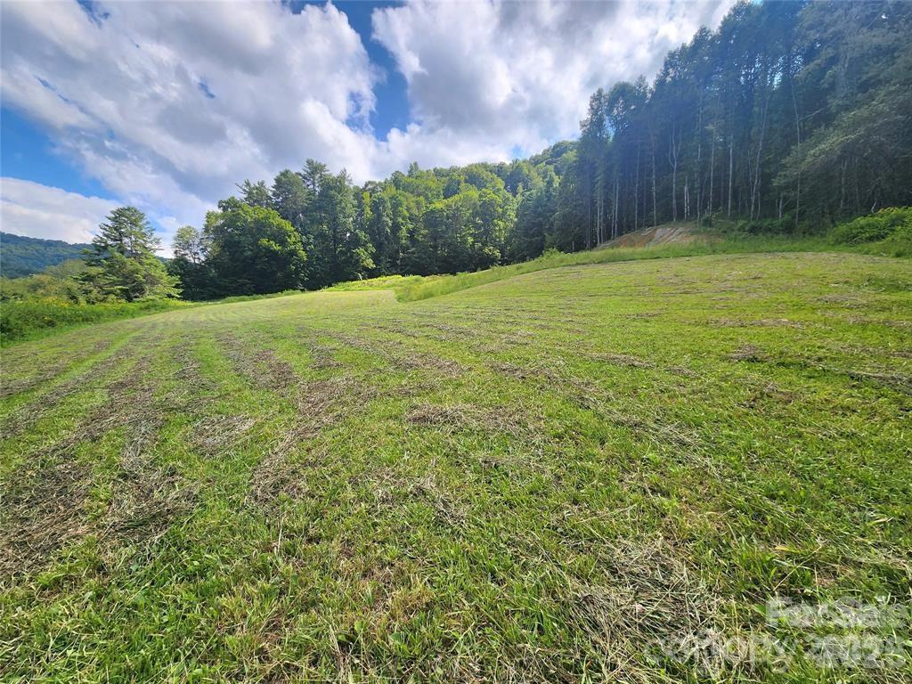 5570 Meadow Fork Rd., Hot Springs, NC 28743