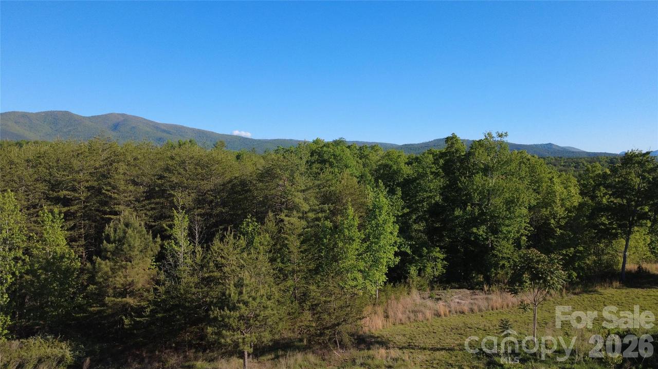 431 Ridge Point Rd. #7, Nebo, NC 28761