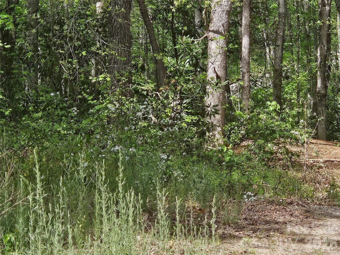 22 Graulich Ln. #6, Candler, NC 28715