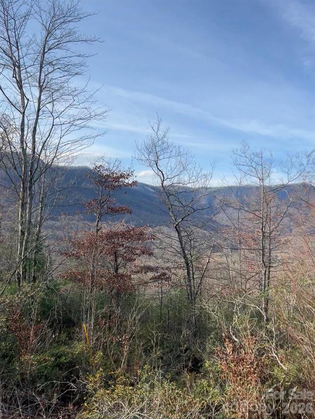 Lot 51B Wilderness Dr., Marion, NC 28752