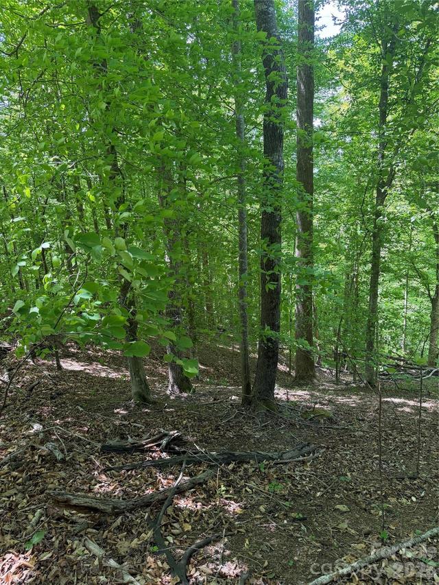 Creekside Cir. #135, Rutherfordton, NC 28139