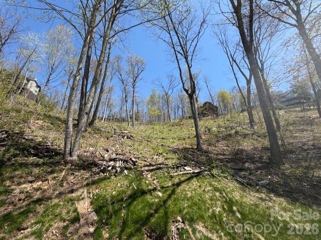 20 Cliff's Edge Dr., Burnsville, NC 28714