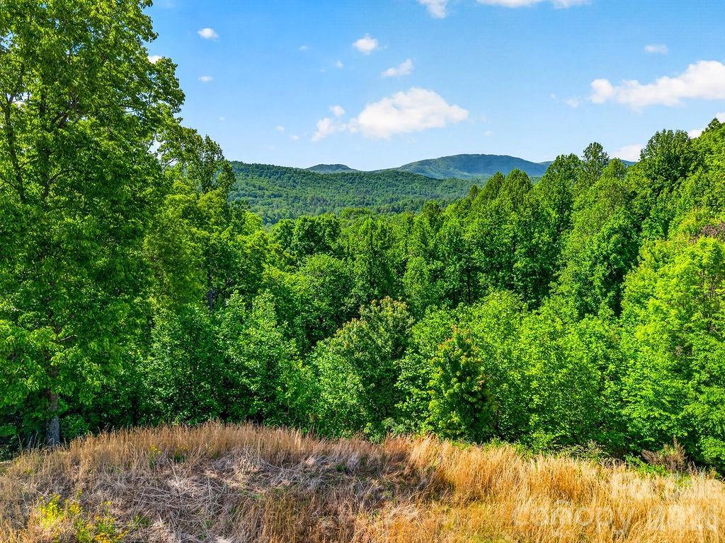 51 Falls Ln., Hendersonville, NC 28739