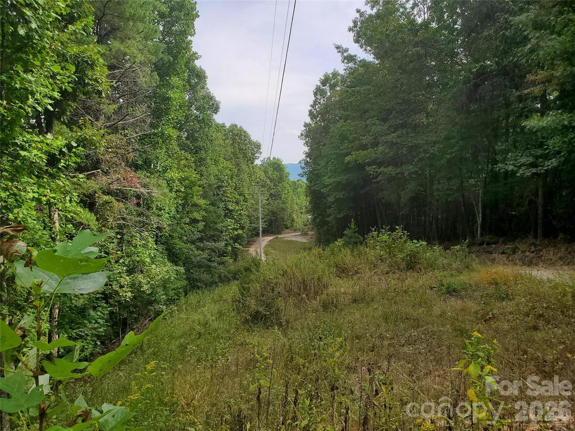 3024 Pearson Mountain Rd., Boomer, NC 28606
