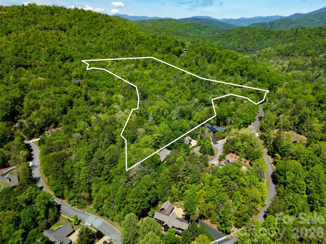 TBD Springhouse Tr. #L15, Brevard, NC 28712