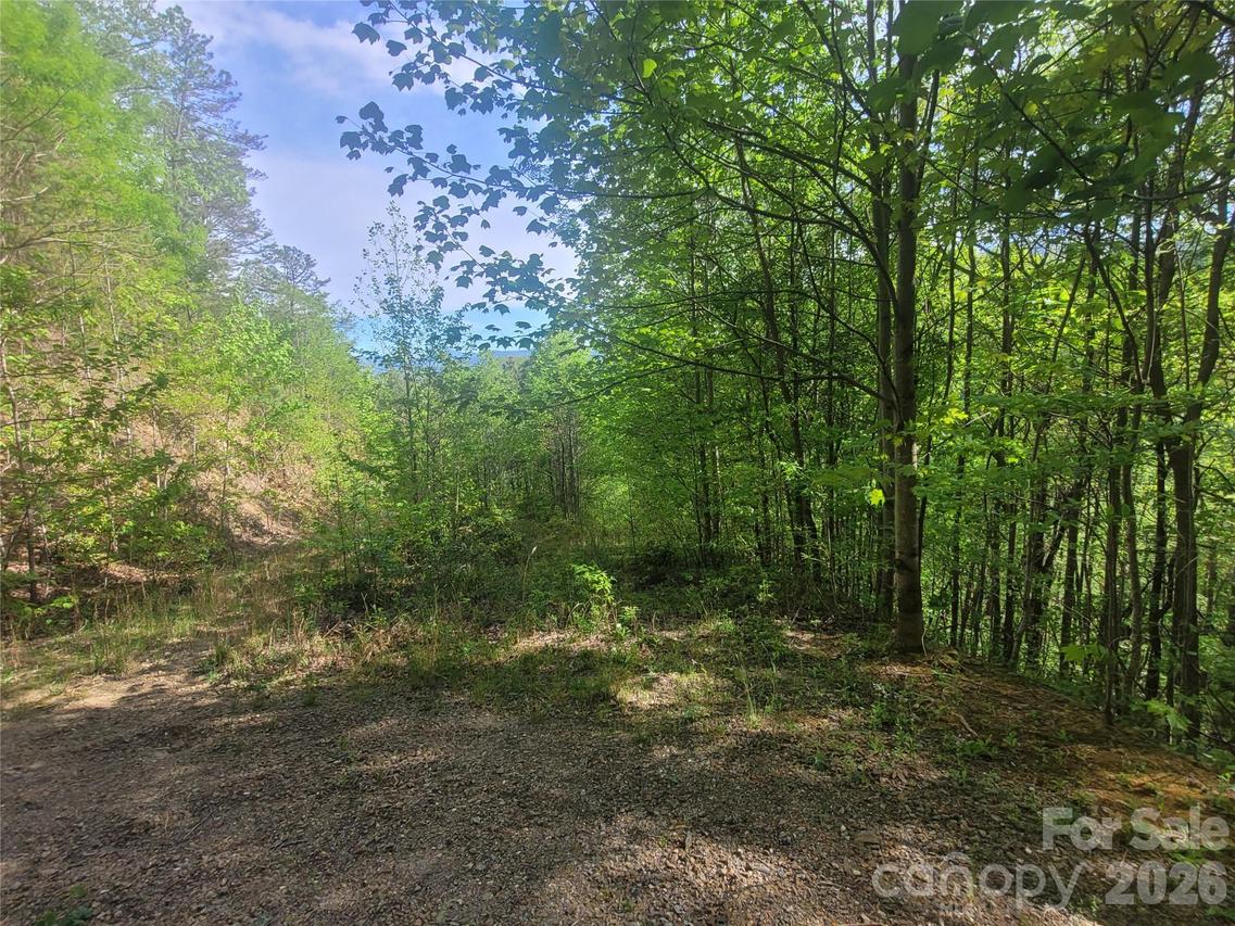 99999 Wolverine Ct. #53, Waynesville, NC 28785