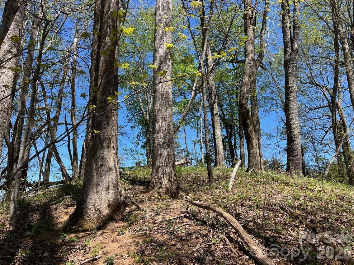 Crackin Chestnut Ln., Sylva, NC 28779