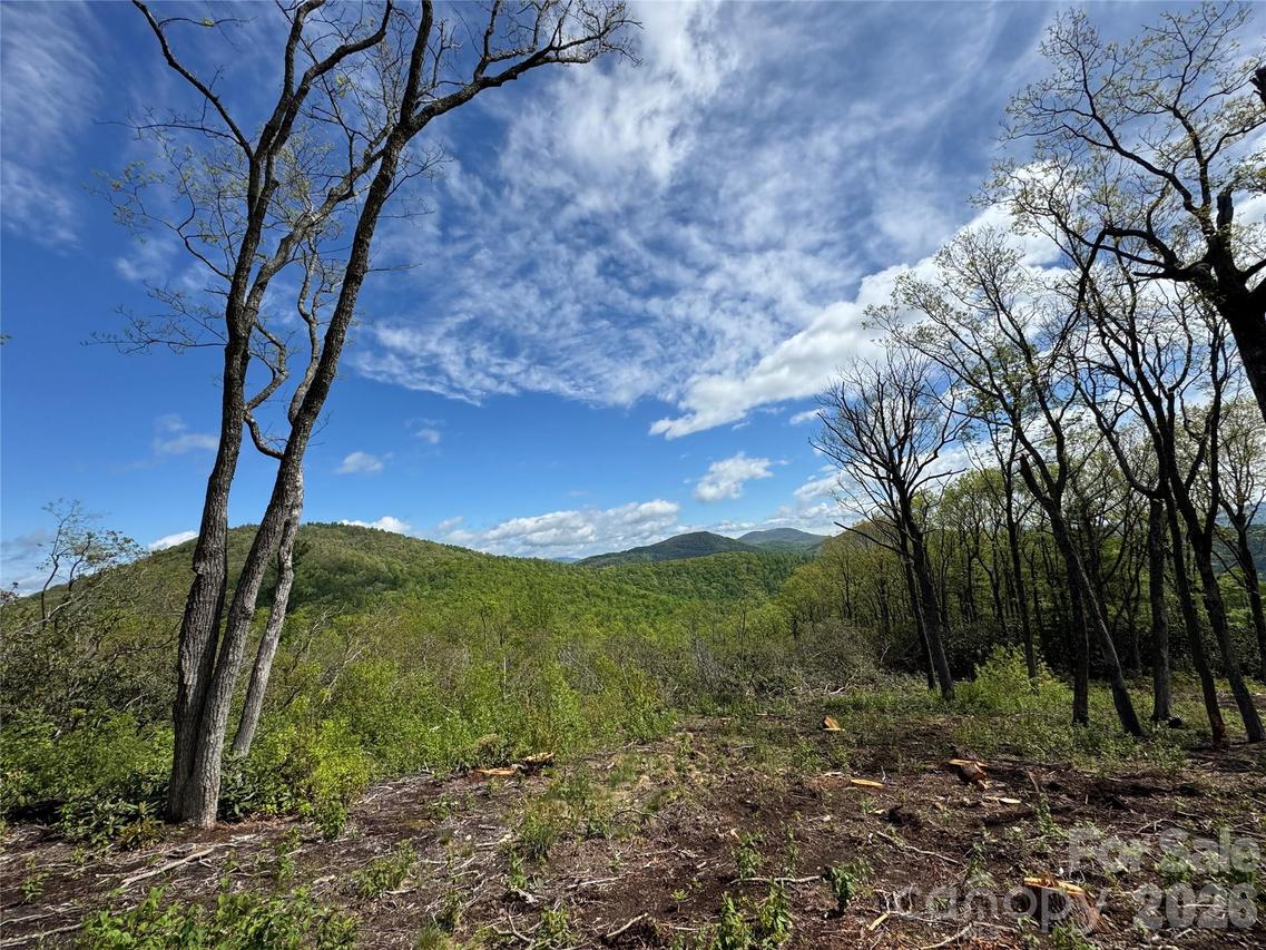 TBD E Garden Tr. #45, Hendersonville, NC 28792