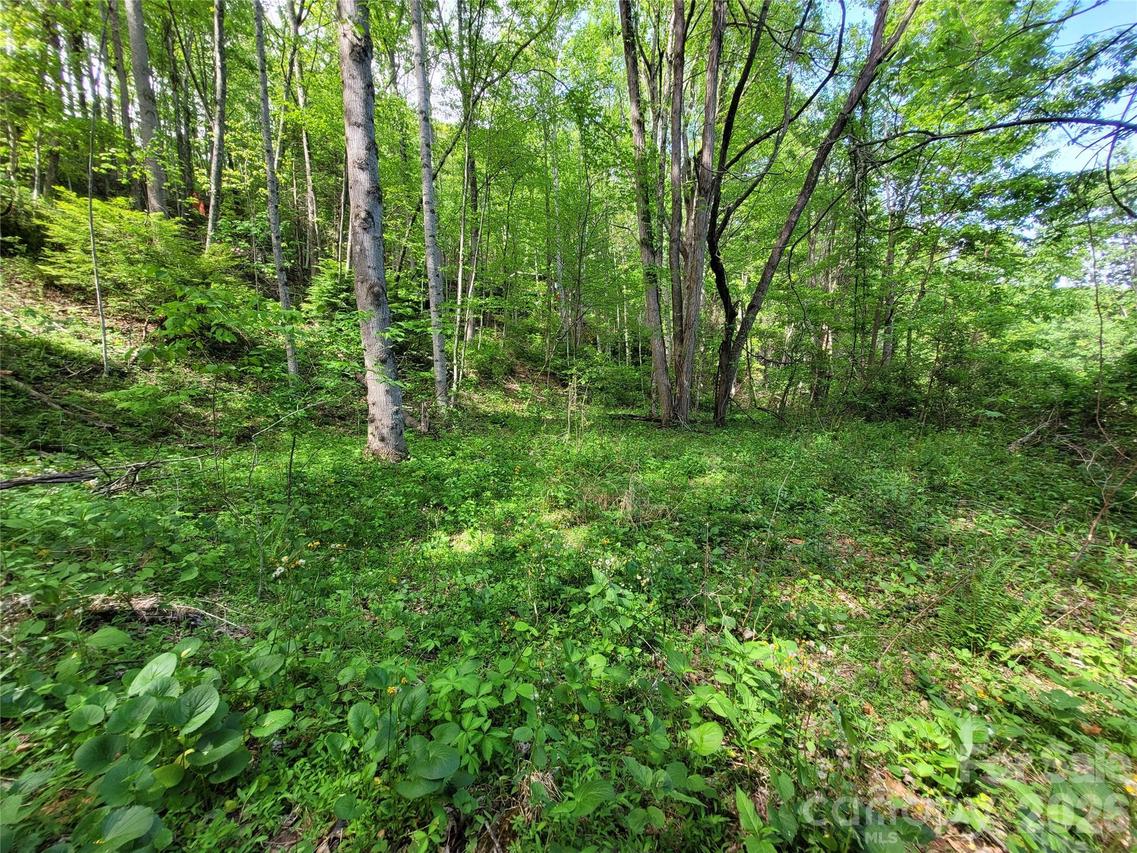 00 Fox Run Rd., Waynesville, NC 28785