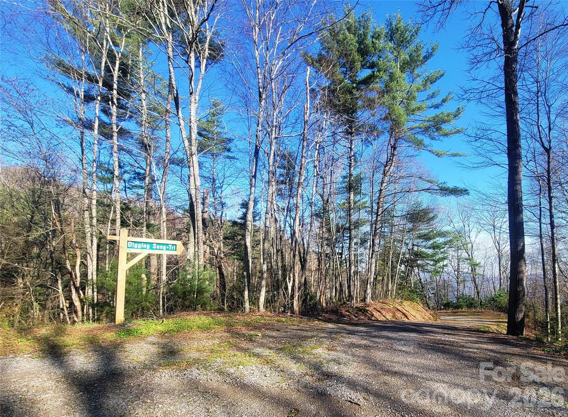 111 Digging Seng Tr. #138, Waynesville, NC 28785