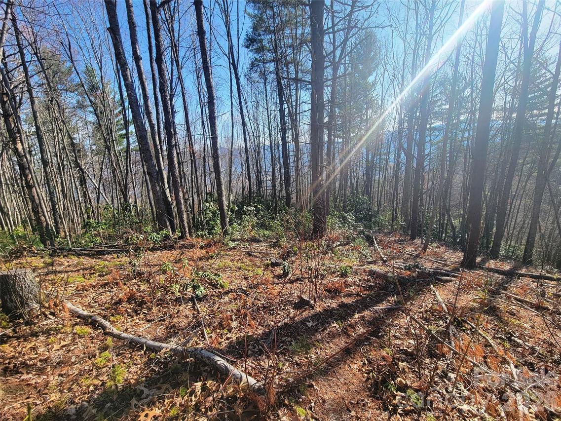 111 Digging Seng Tr. #138, Waynesville, NC 28785