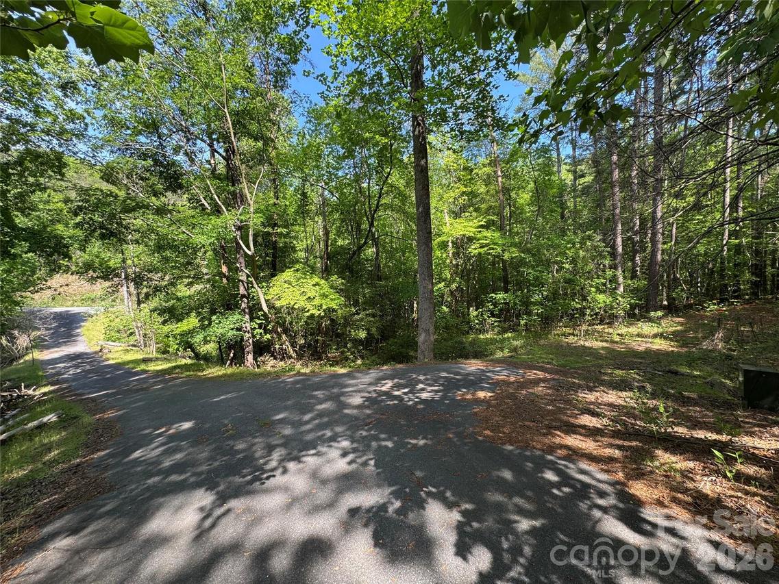 Island Creek Rd. #1, Lake Lure, NC 28746