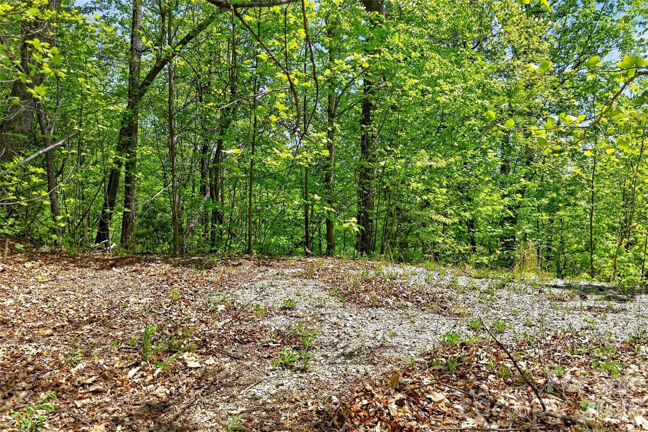 Bobcat Dr. #741, Old Fort, NC 28762
