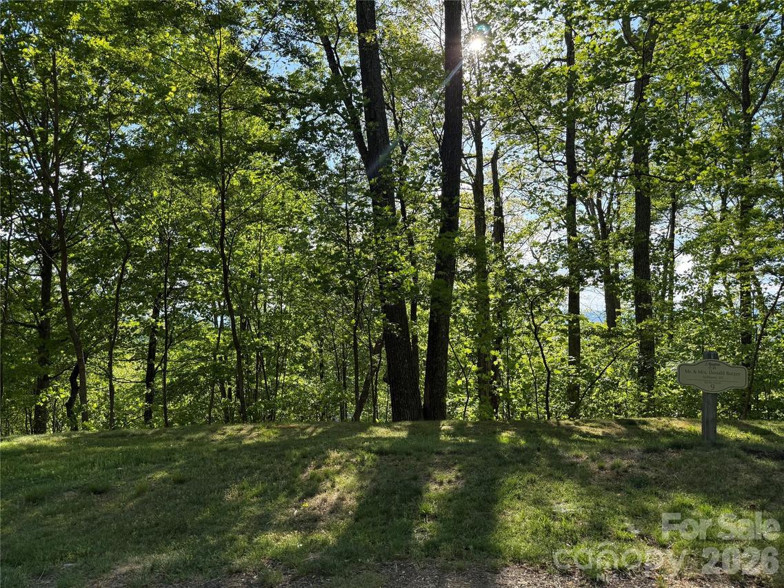 Lot 9 & 10 Andrew Banks Rd., Burnsville, NC 28714