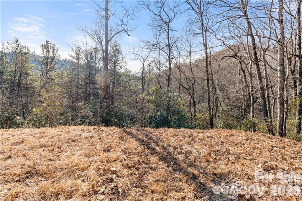 28 Trillium Ln. #C-1, Black Mountain, NC 28711