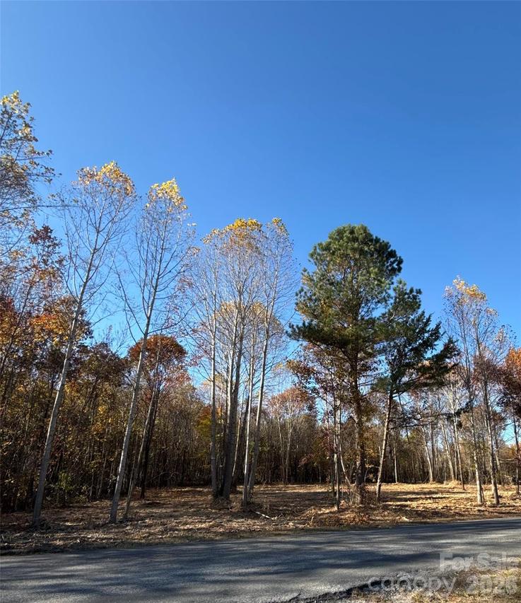 2 Erwin Temple Church Rd., Woodleaf, NC 27054