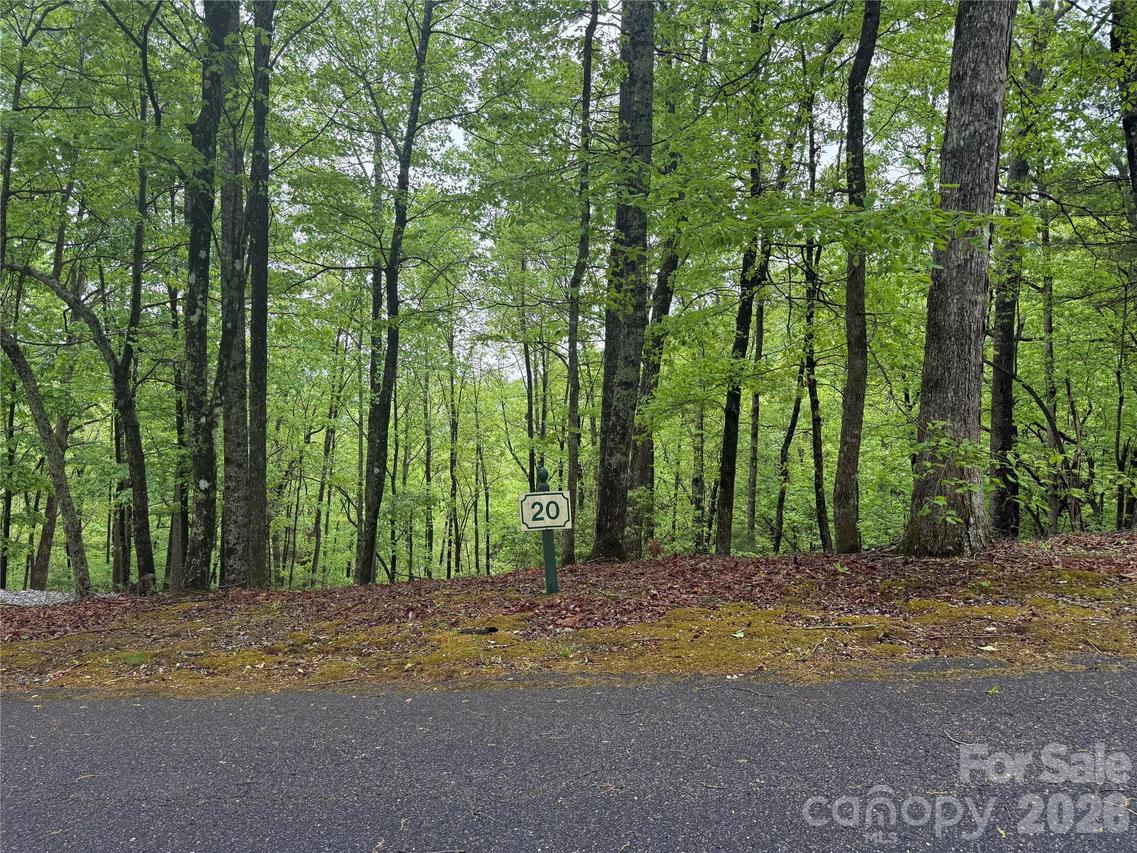 39 Black Bear Ridge Tr. #20, Zirconia, NC 28790