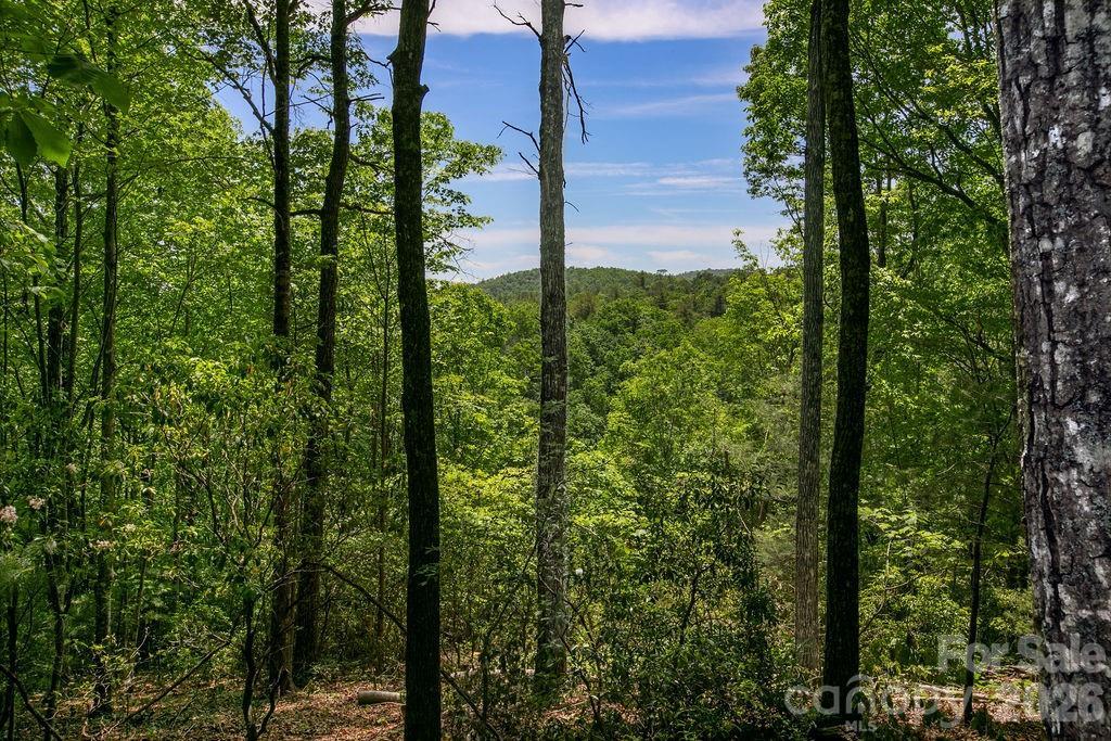 TBD Diamond Creek Rd., Lake Toxaway, NC 28747