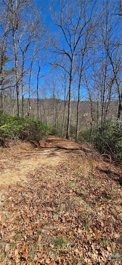 90 Kimiko Ln. #30&31, Balsam Grove, NC 28708