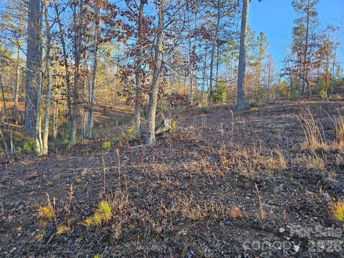 2167 Inlet Shore Rd., Connelly Springs, NC 28612