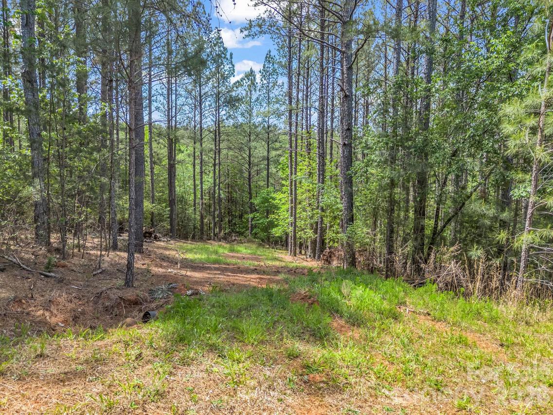 111 Cranberry Ln., Mooresboro, NC 28114