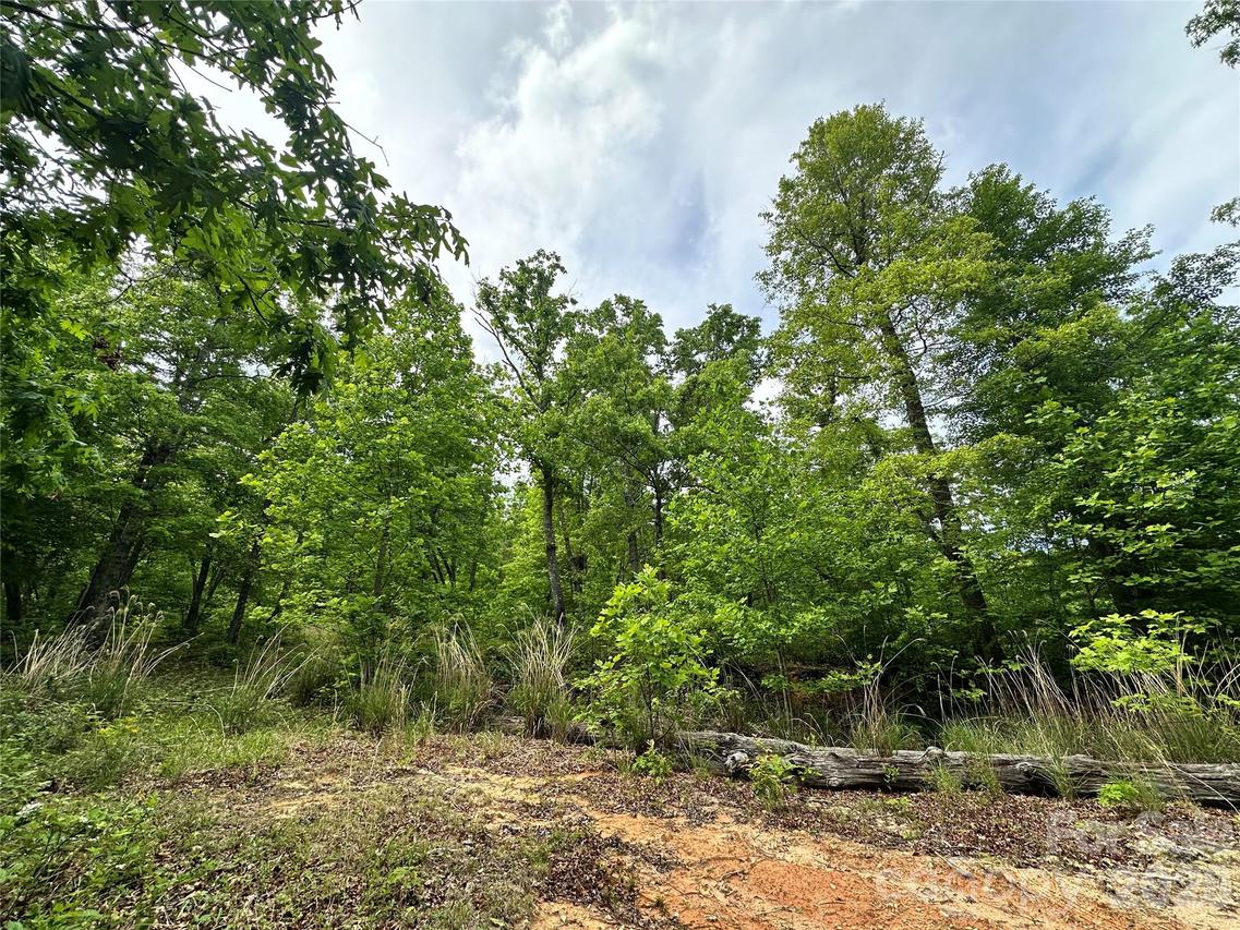 99999 Bird Creek Estates Rd., Black Mountain, NC 28711