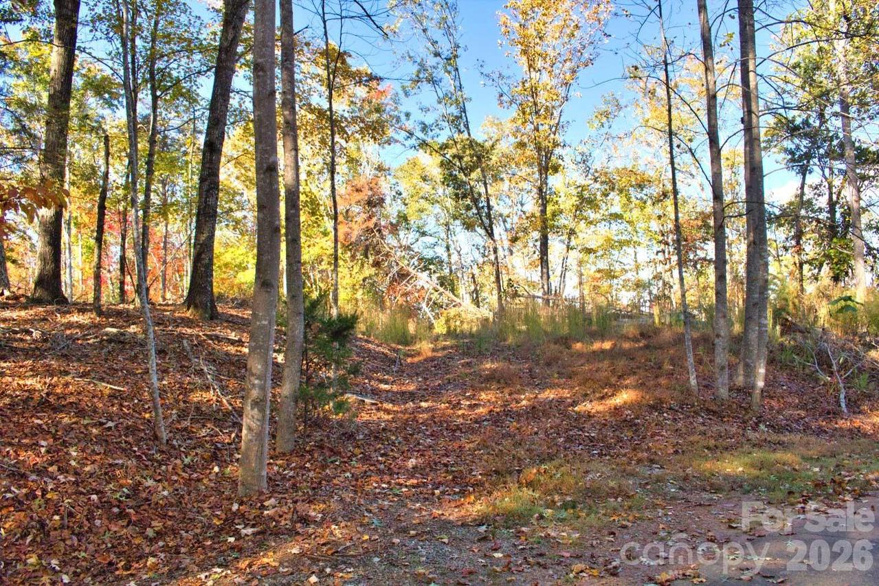 Wilderness Ridge #15, Rutherfordton, NC 28139