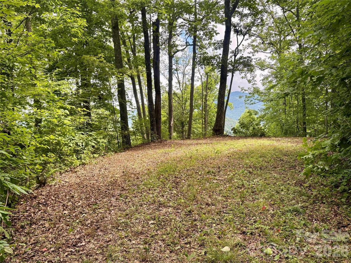 Carpenter Rd., Bryson City, NC 28713
