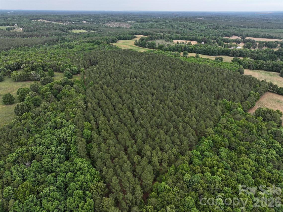 TBD Hasty Rd., Peachland, NC 28133
