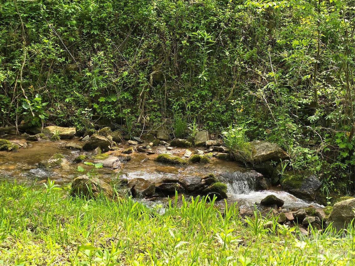 99999 Roaring Fork Rd., Mars Hill, NC 28754