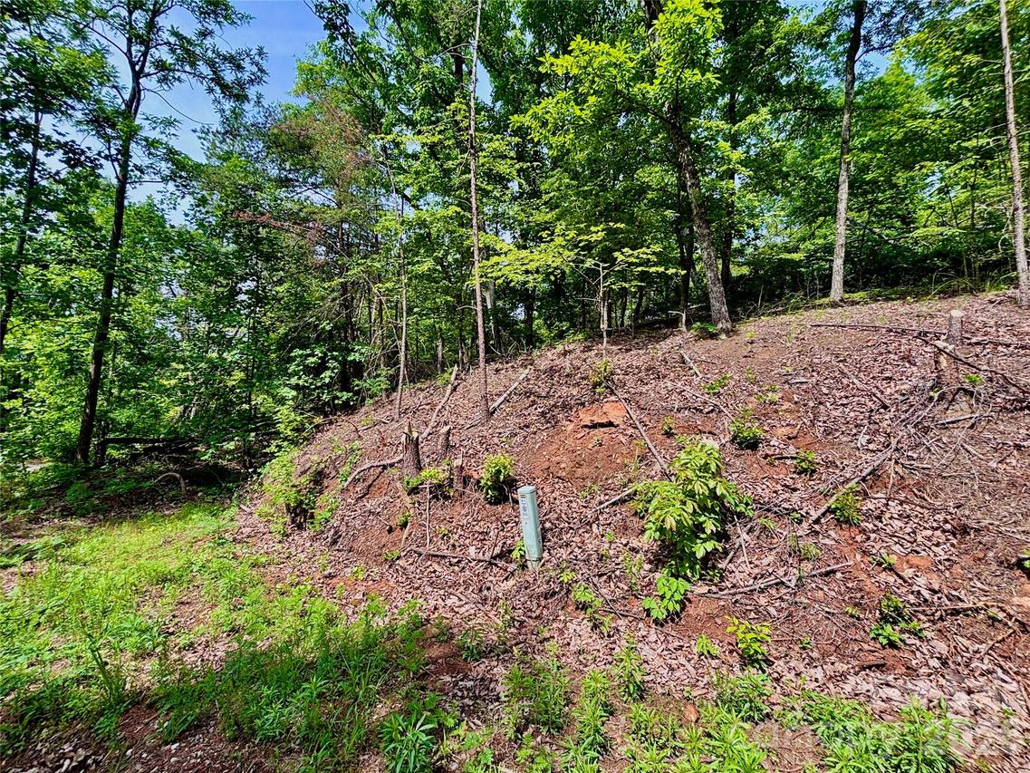 350 Springvalley Dr., Rutherfordton, NC 28139