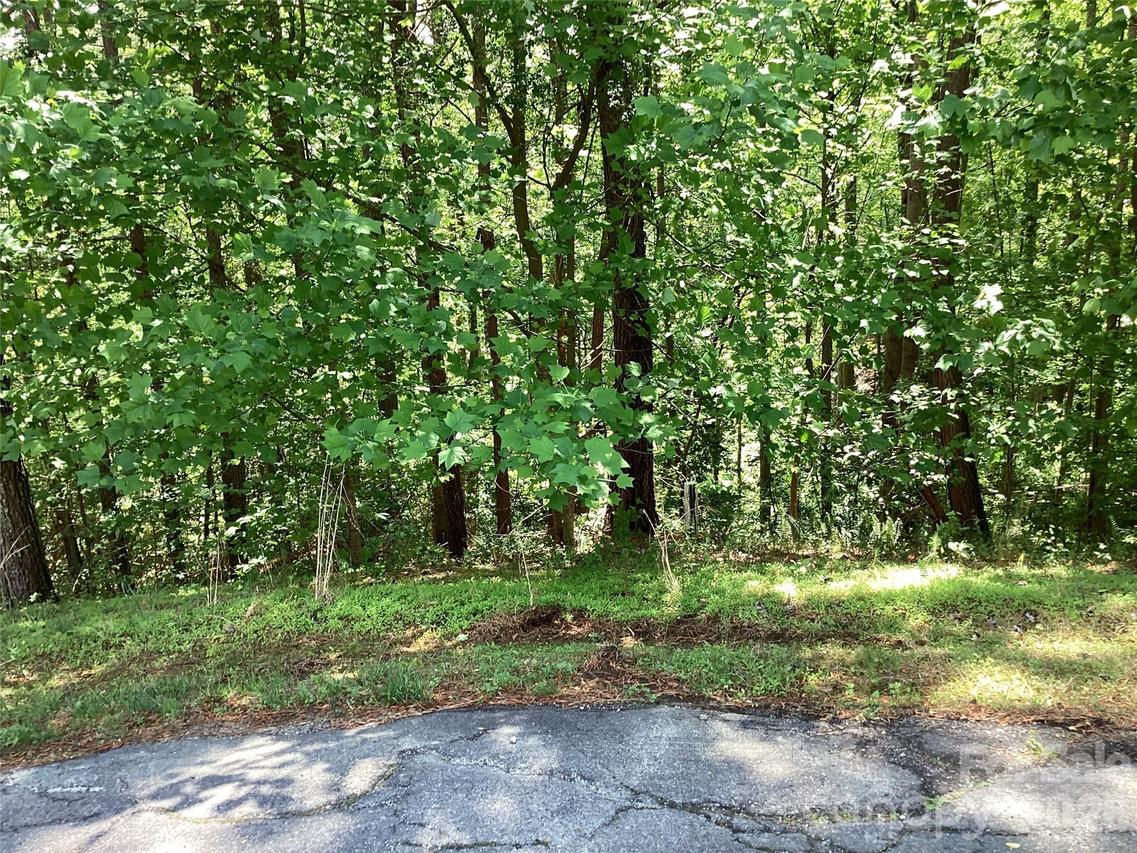 101 Pier Point Dr. #67, Connelly Springs, NC 28612