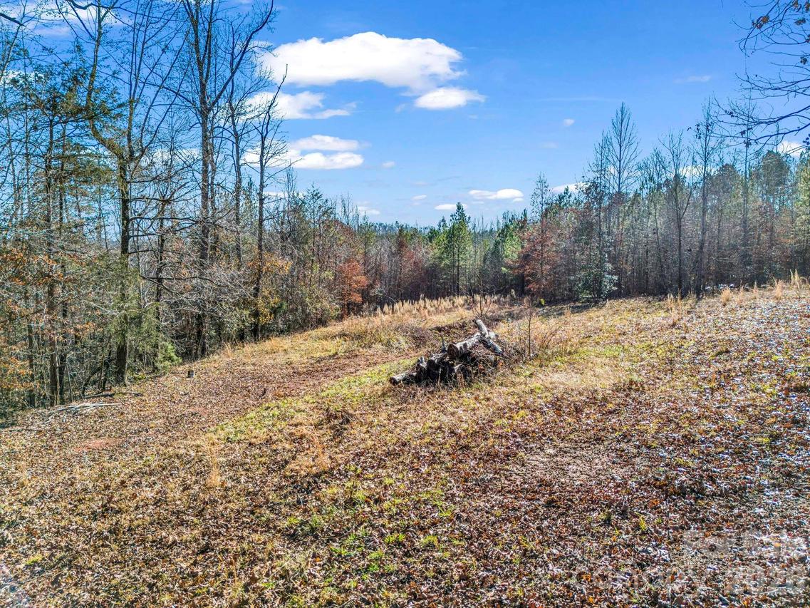 Smith Waldrop Rd. #4, Columbus, NC 28722