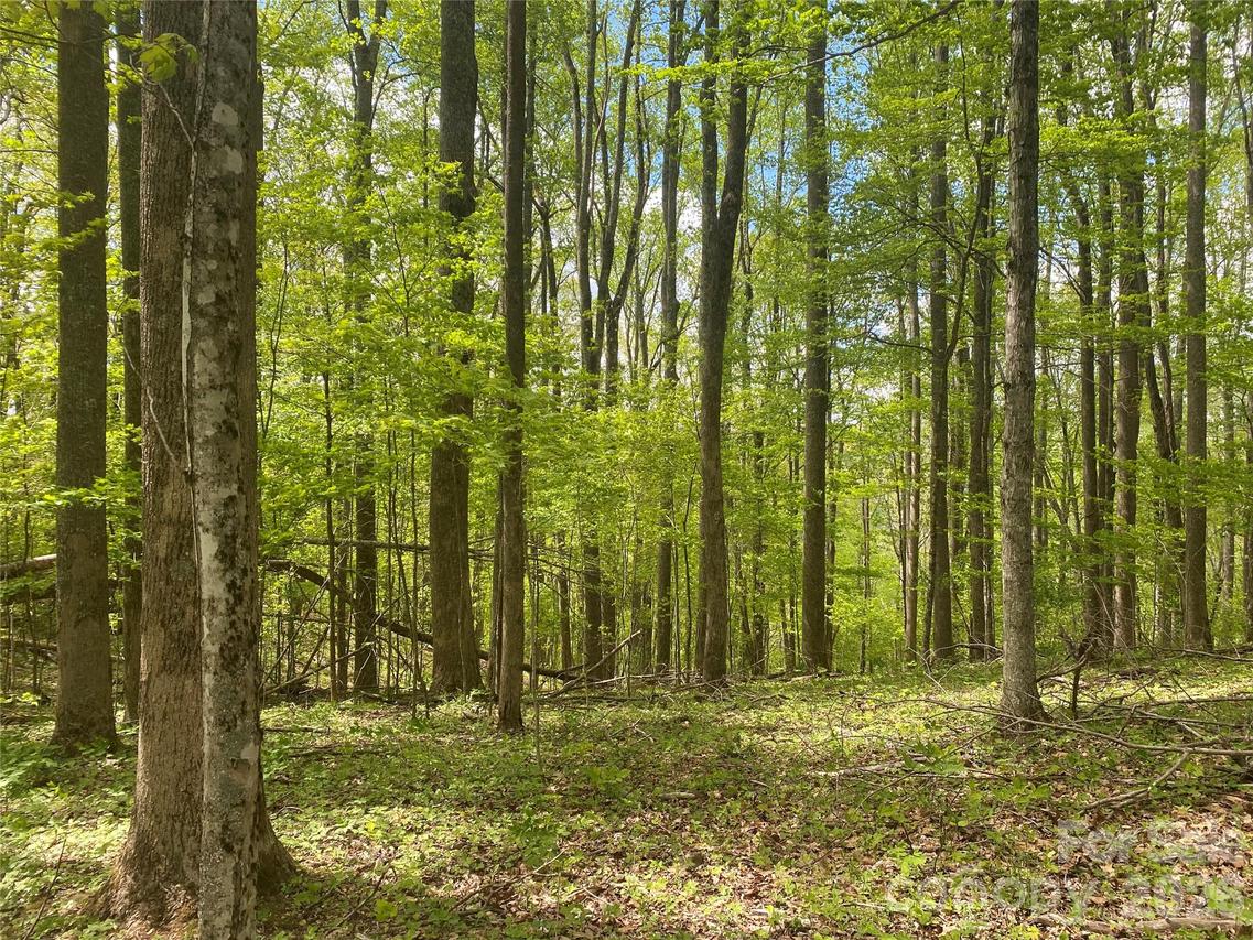 TBD Us 23 Hwy., Mars Hill, NC 28754