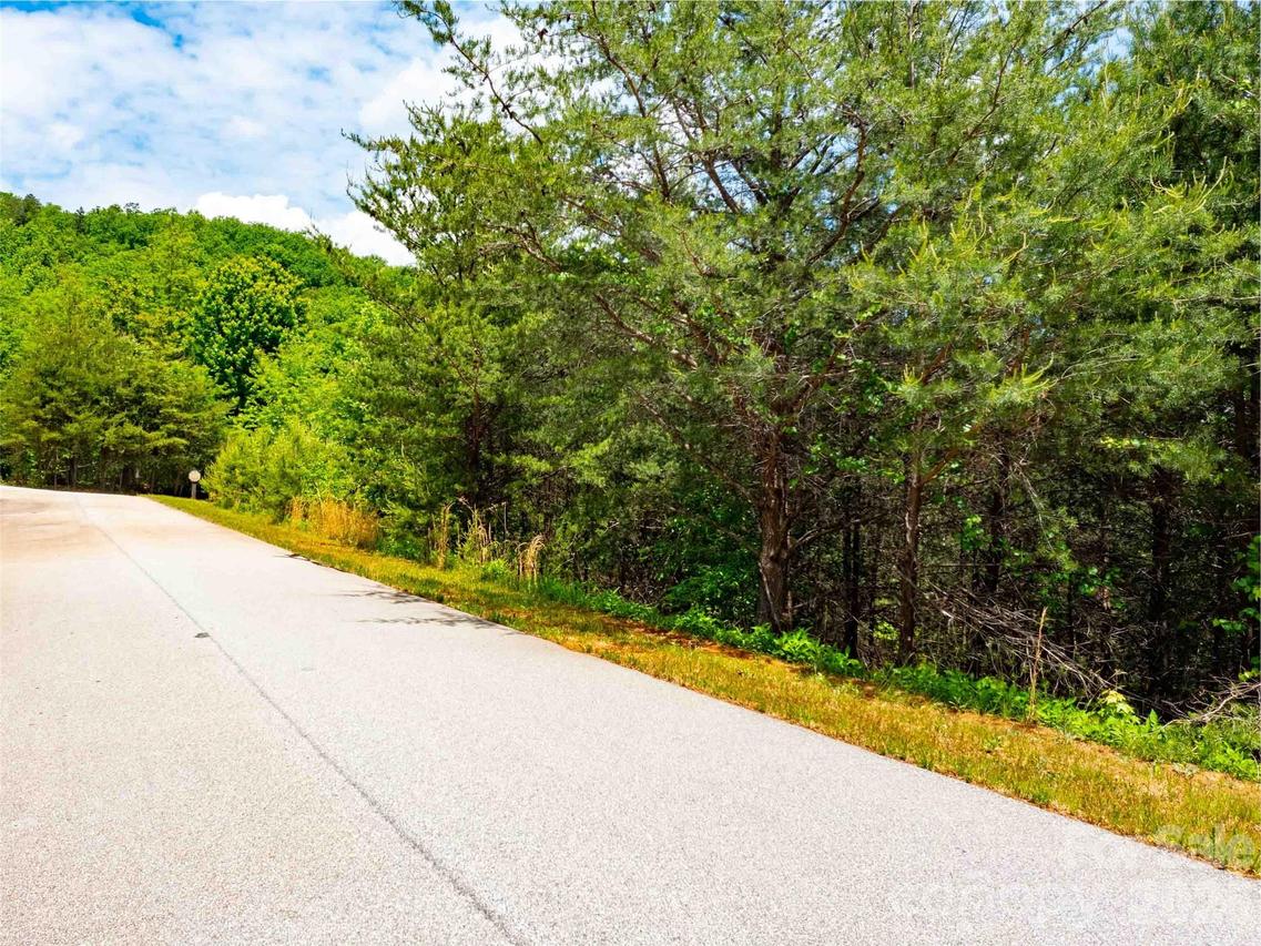 LOT 150 Birkdale Dr., Mill Spring, NC 28756