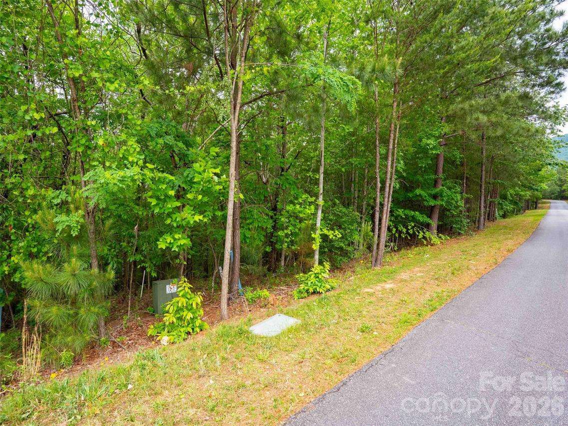 LOT 2009 Deep Gap Farm Rd., Mill Spring, NC 28756