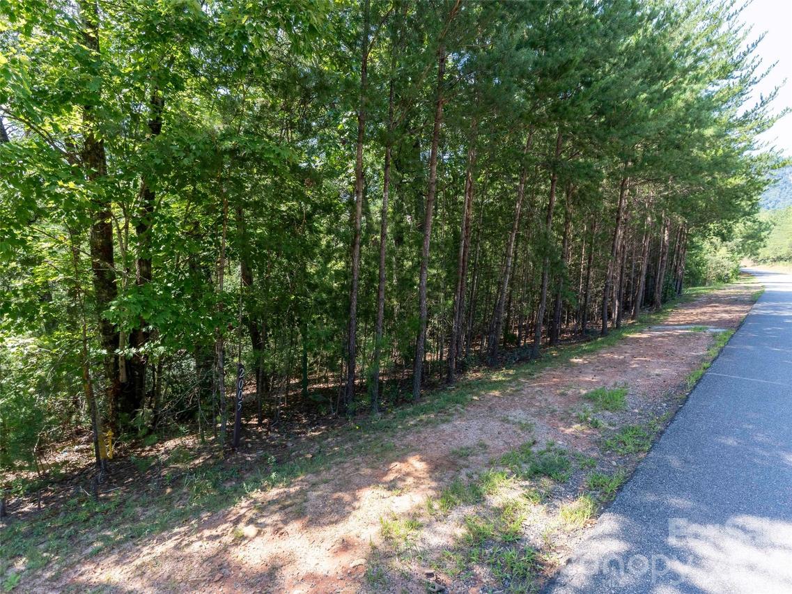 Lot 2006 Deep Gap Farm Rd., Mill Spring, NC 28756