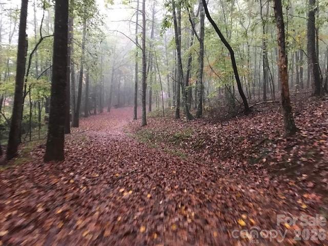 9999 Little Creek Dr., Nebo, NC 28761