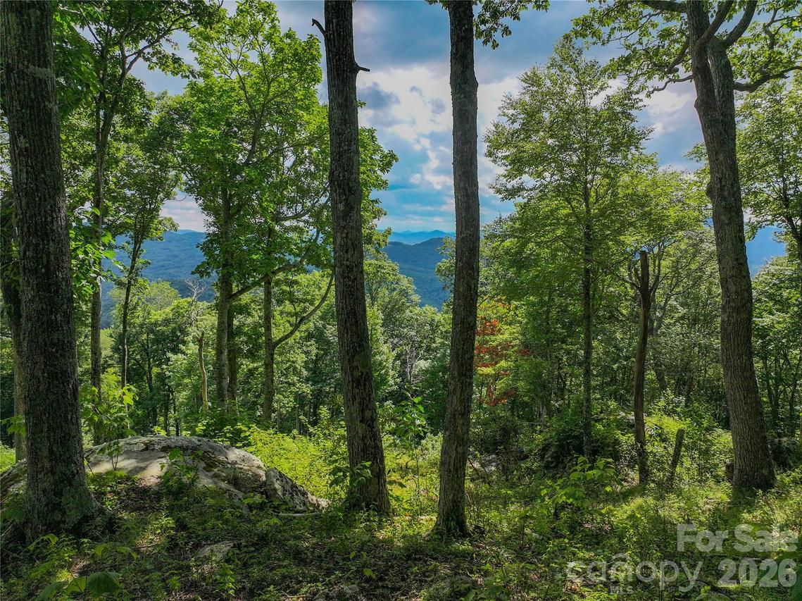 G30 Lodge Woods Tr., Banner Elk, NC 28604