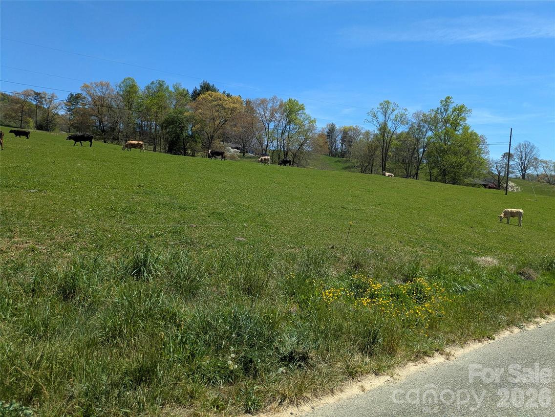 TBD Glance Cove Rd., Clyde, NC 28721