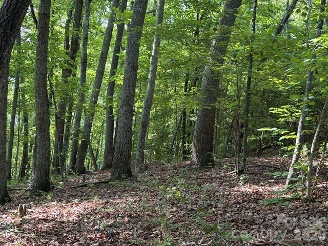 000 Gettys Rd., Ellenboro, NC 28040