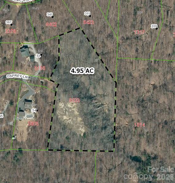 Osprey Ln., Nebo, NC 28761