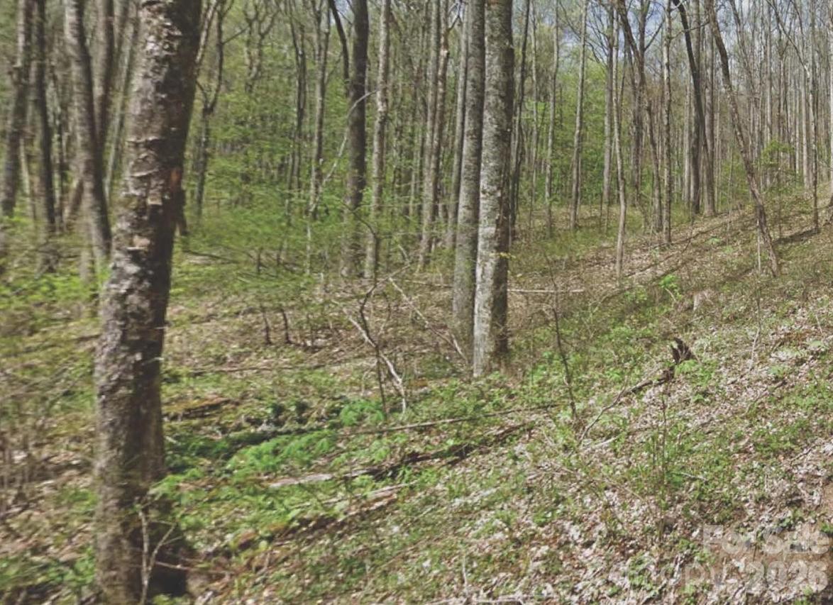 000 Heather Way, Waynesville, NC 28786