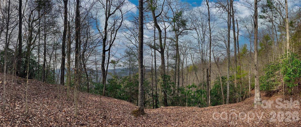 Lot 127 Bear River Lodge Tr., Marshall, NC 28753