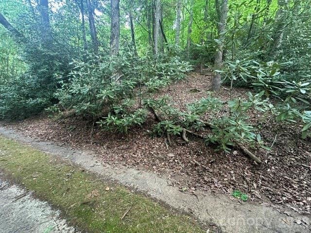 TBD Glen Cannon Dr. #5-B, Pisgah Forest, NC 28768