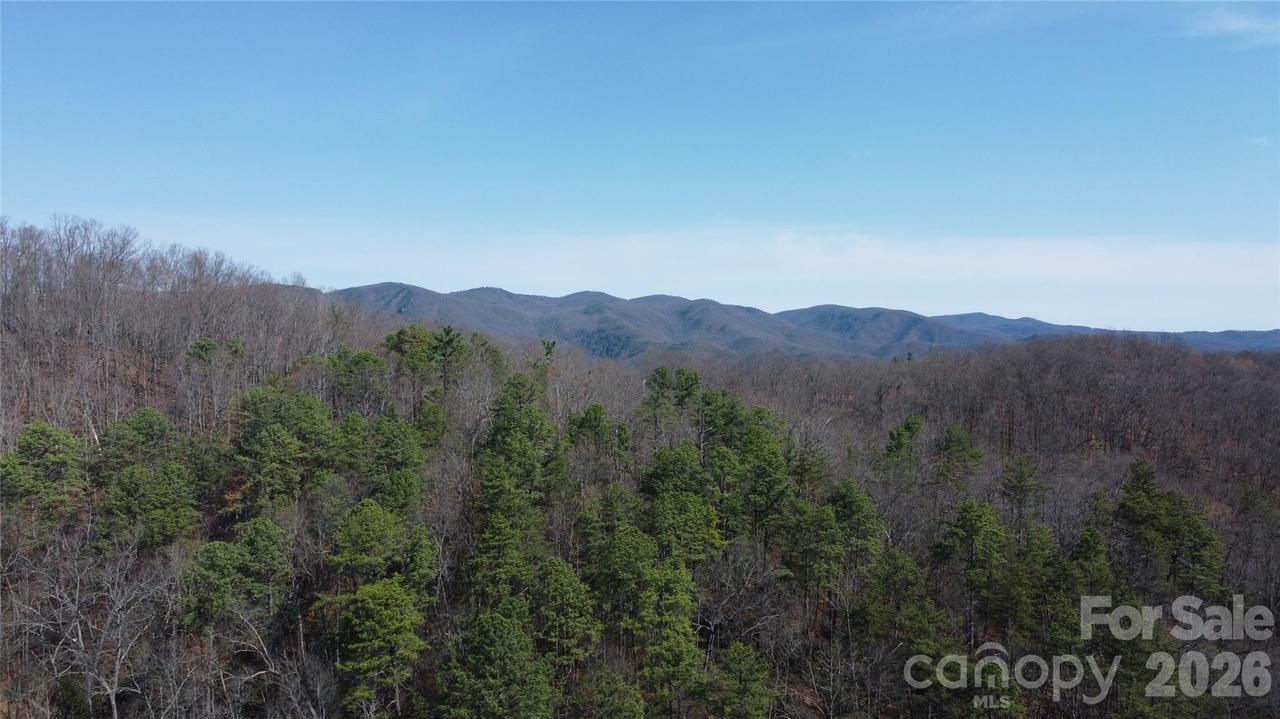 0000 Wilderness Rd., Hays, NC 28635