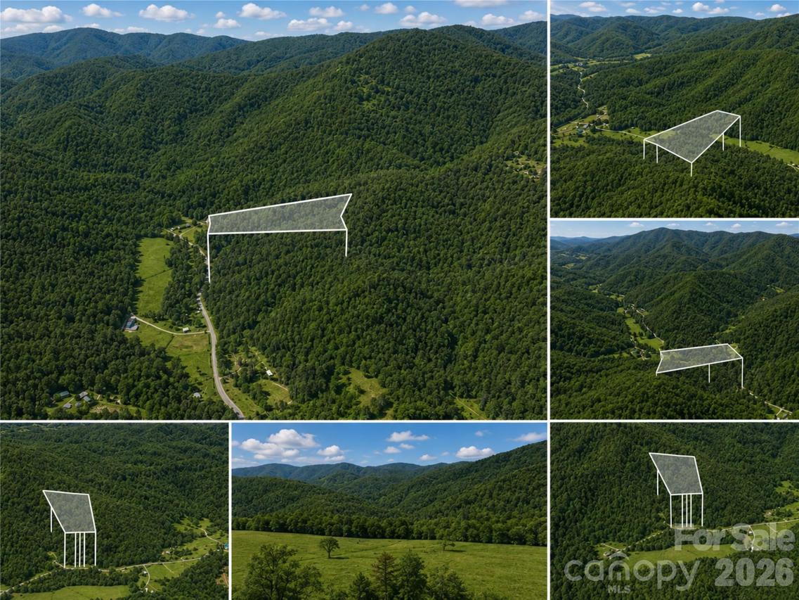00-00 (9.99 Acres) Boone Gap Ln. #Tract-2/BLOCK 1218, Taylorsville, NC 28681